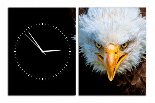 Модульная картина-часы Орёл